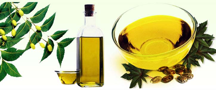 Neem oil to remove dandruff